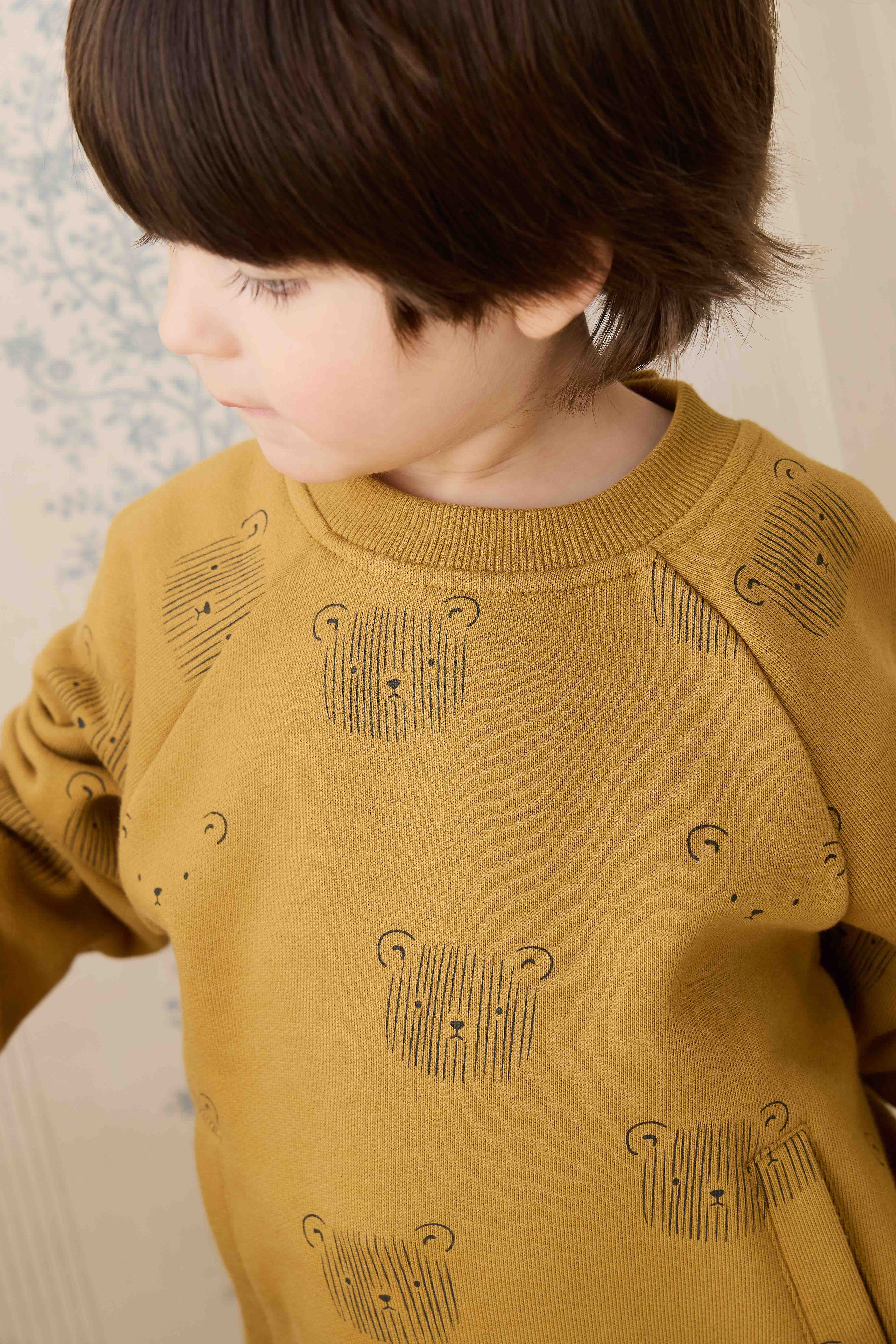 Sweat-shirt en coton biologique - Tête d'ours en peluche sarrasin