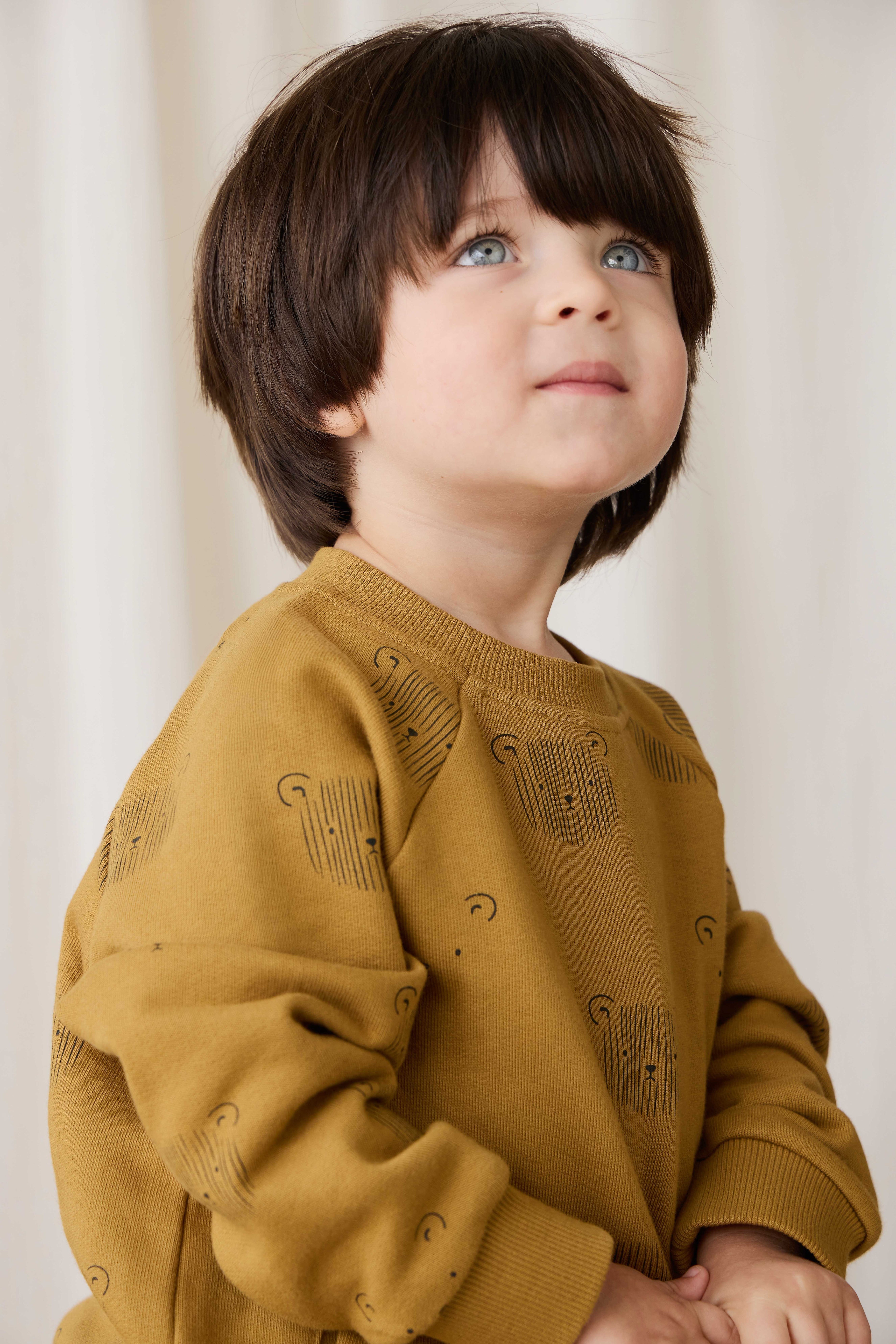Sweat-shirt en coton biologique - Tête d'ours en peluche sarrasin
