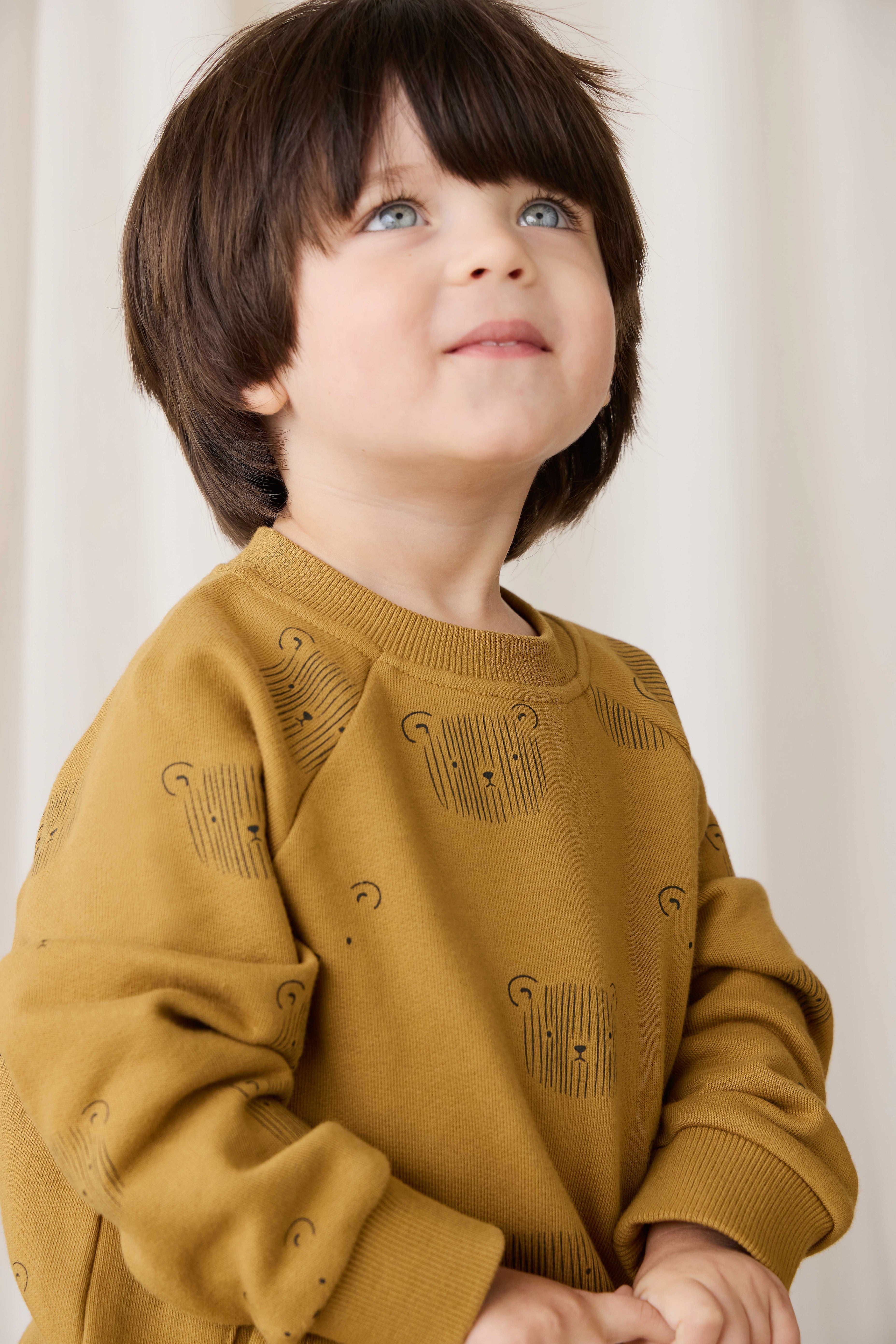 Sweat-shirt en coton biologique - Tête d'ours en peluche sarrasin
