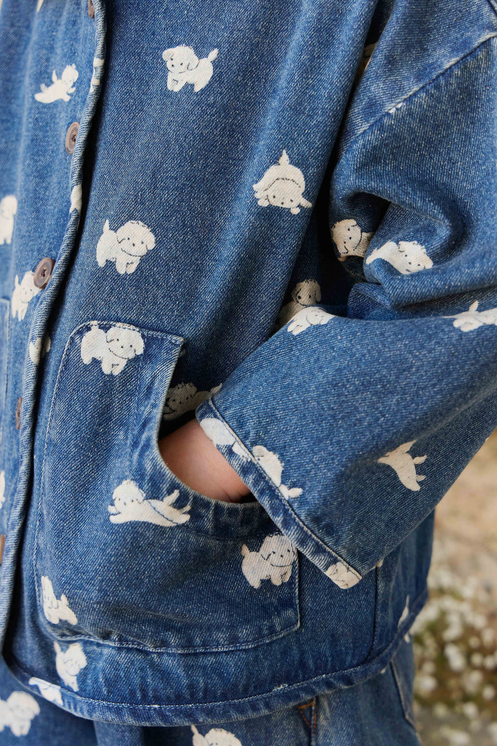Veste